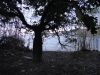 toussaint_vtt_20